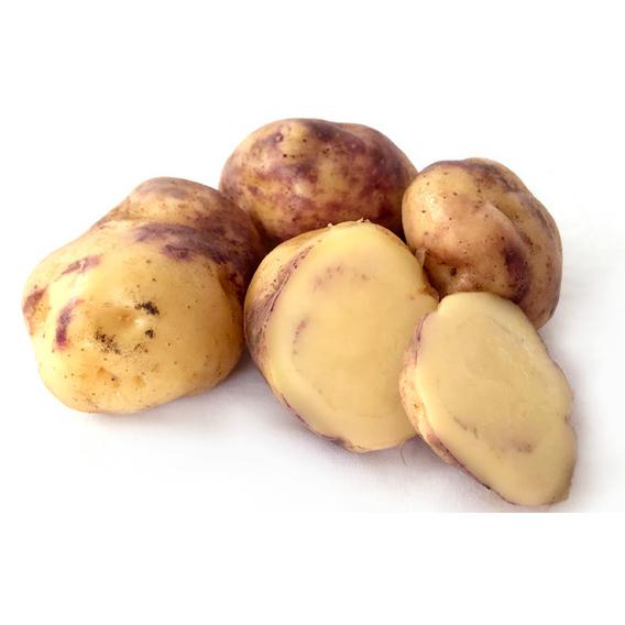 Seed Potato - Maori Huakaroro 500g