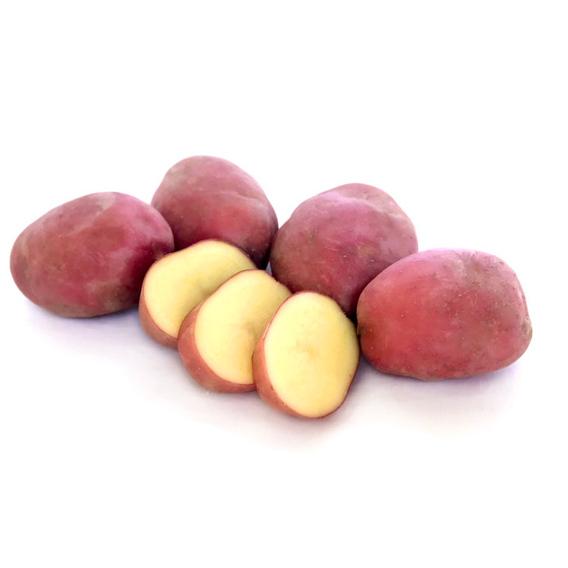 Seed Potato - Desiree - 6 Pack