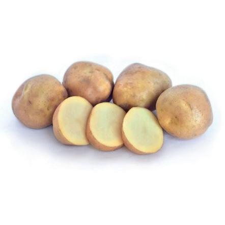 Seed Potato - Karaka 2kg