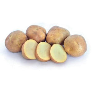 Seed Potato - Karaka - 6 Pack