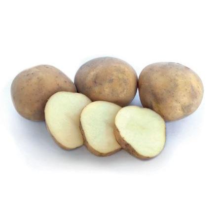 Seed Potato - Rocket 3kg