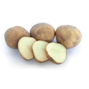 Seed Potato - Rocket - 6 Pack