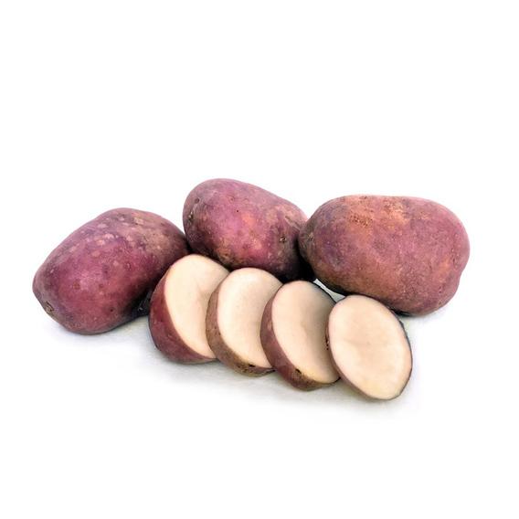 Seed Potato - Heather - 6 Pack