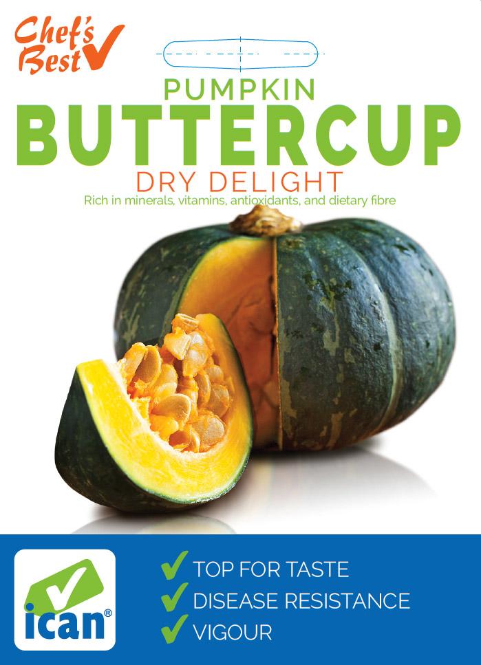 Ican Buttercup Pumpkin Dry Delight