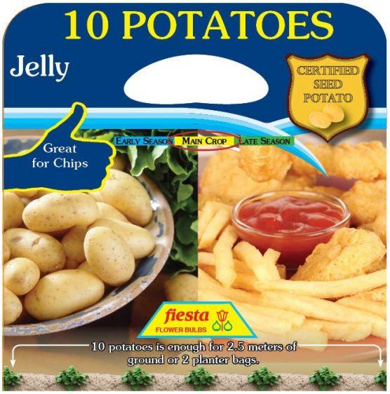 Seed Potato - Jelly - 10 Pack