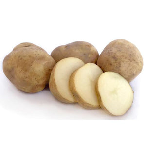 Seed Potato - Ilam Hardy - 6 Pack