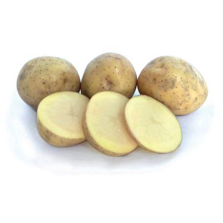 Seed Potato - Swift 3kg