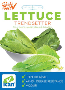 Ican Lettuce Trendsetter