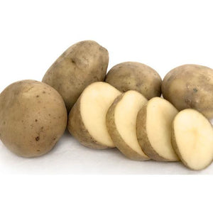 Seed Potato - Maris Anchor 1kg