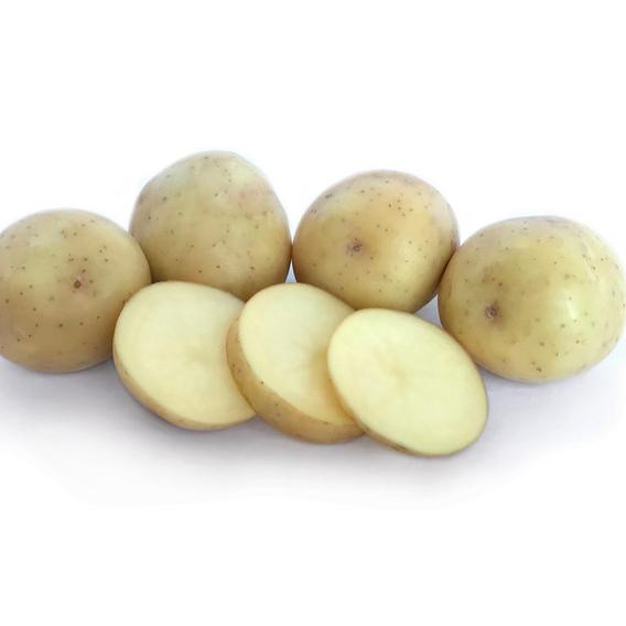 Seed Potato - Nadine - 6 Pack
