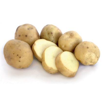 Seed Potato - Arran Banner 2kg