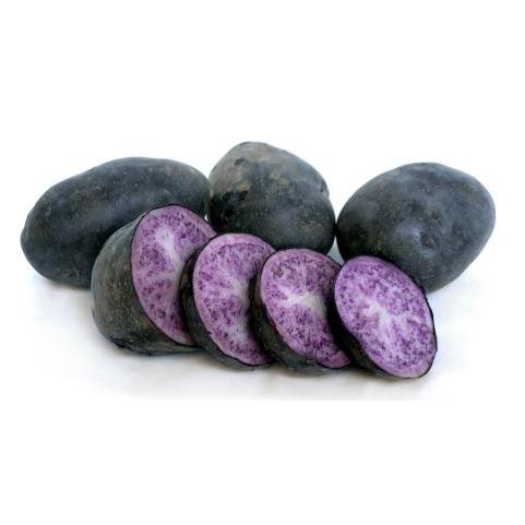 Seed Potato - Purple Heart - 6 Pack